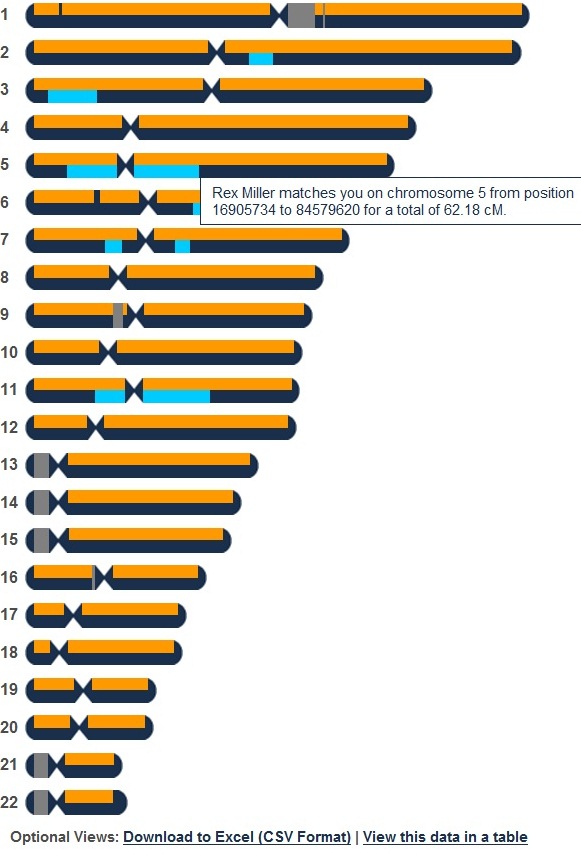 Matches Family (IBD) vs Population (IBS) DNAeXplained