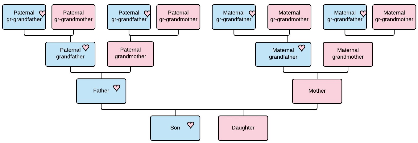 Who Lineage Assignment Concepts – “Who To Test?” Series | DNAeXplained – Genetic Genealogy