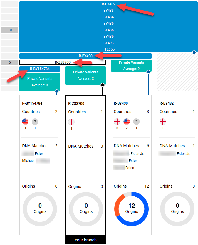 Big Y News and Stats + Sale | DNAeXplained – Genetic Genealogy